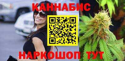 твердый Бийск